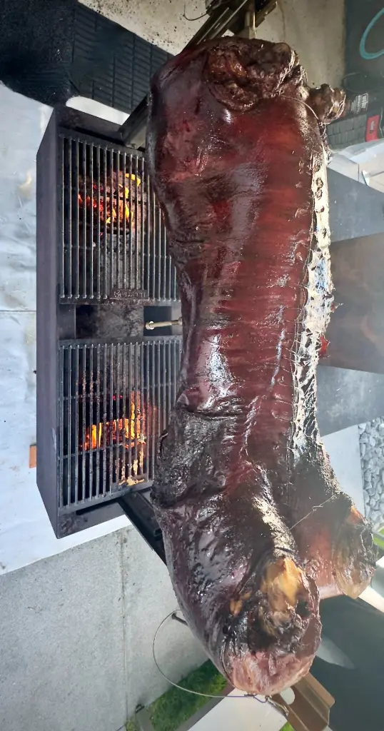 Varken aan het Spit All-In